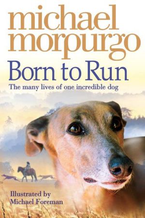 Born To Run The Many Lives Of One Incredible Dog (Michael Morpurgo)